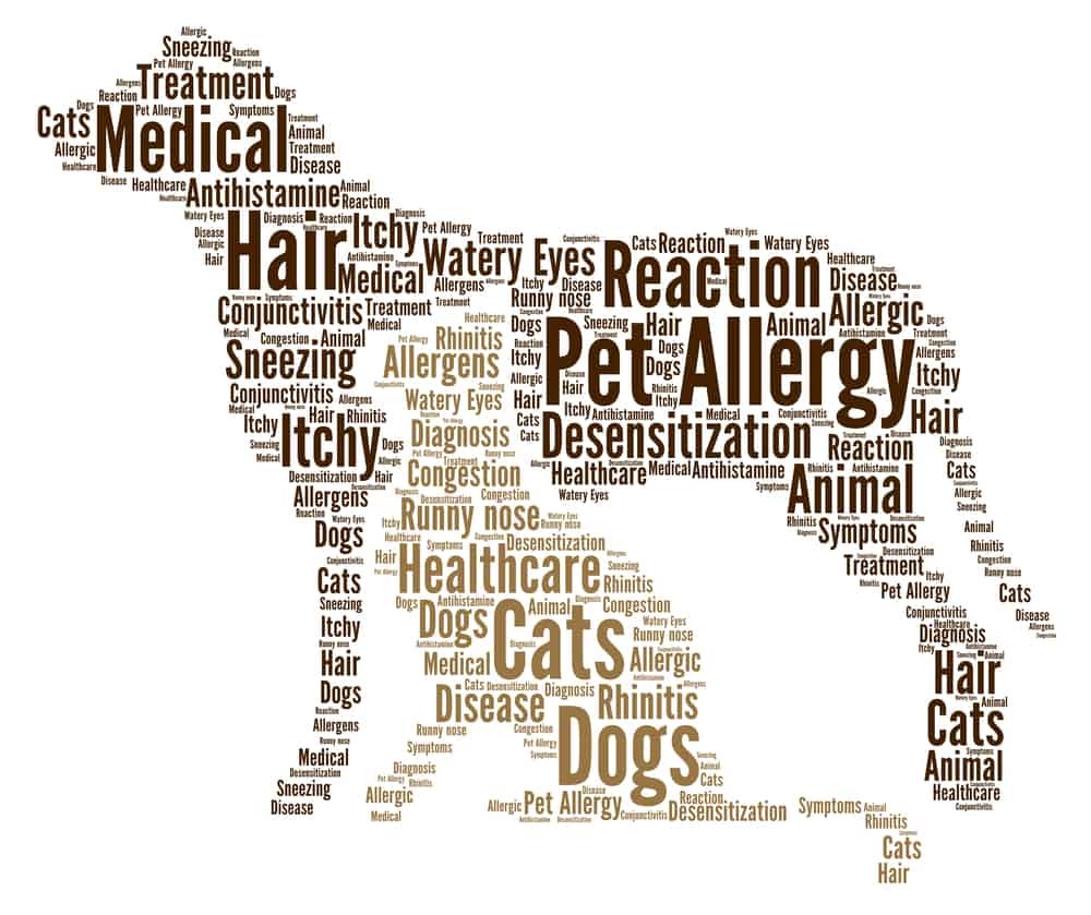 Pet alergies